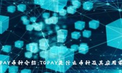 TOPAY币种介绍：TOPAY是什么币种及其应用前景