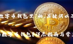 以下是一个关于“数字币钱包里”的、关键词以