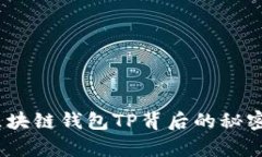 深入解析：区块链钱包TP背后的秘密与使用价值