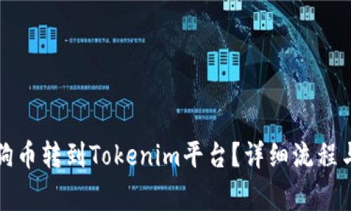 如何将狗狗币转到Tokenim平台？详细流程与注意事项