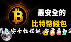 虚拟币钱包安全性揭秘：你需要知道的一切