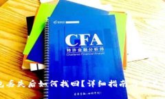 数字钱包丢失后如何找回？详细指南与常见问题